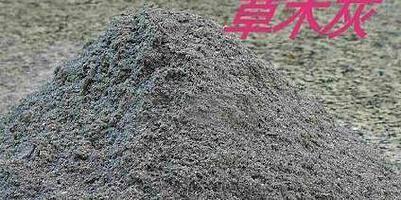 草木灰如何做肥料 草木灰肥料方法介绍